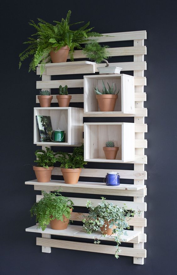 Экраны из деревянных реек для надежного размещения вашей коллекции декоративных растений