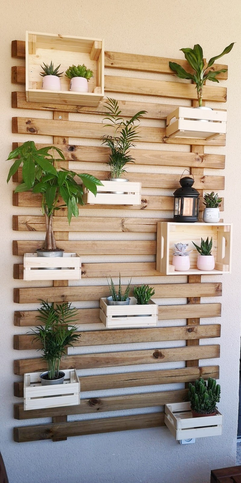 Экраны из деревянных реек для надежного размещения вашей коллекции декоративных растений